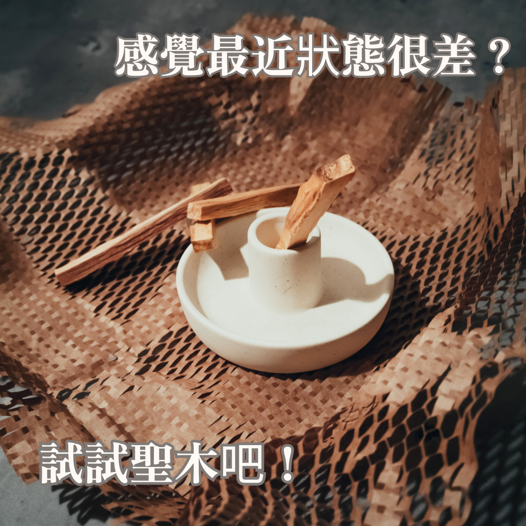 感覺最近狀態很差嗎？試試聖木吧！